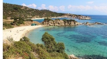 Sarti